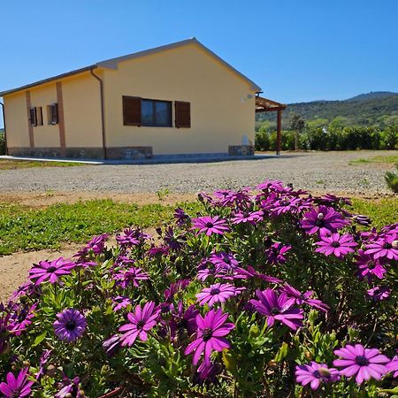Agriturismo Fusini Magliano in Toscana Exterior photo
