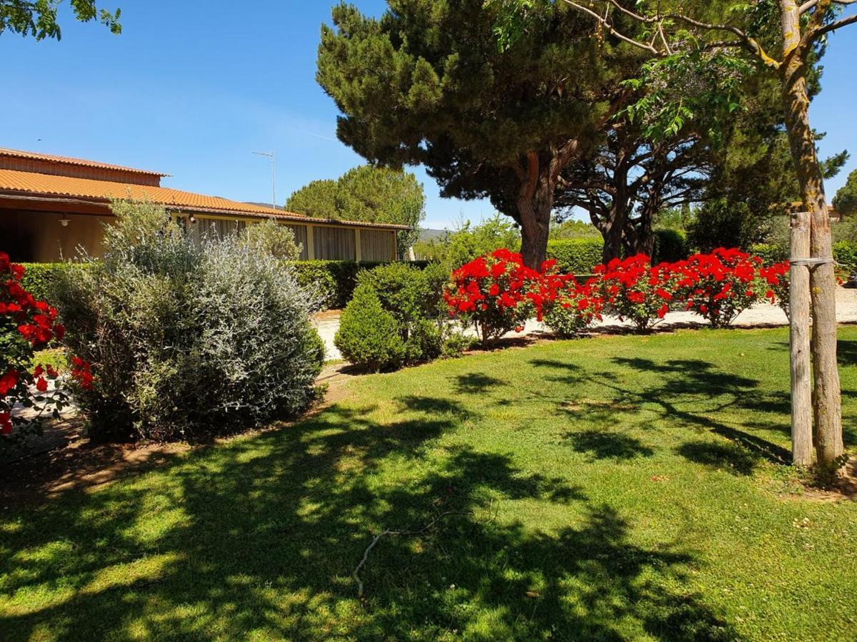 Agriturismo Fusini Magliano in Toscana Exterior photo