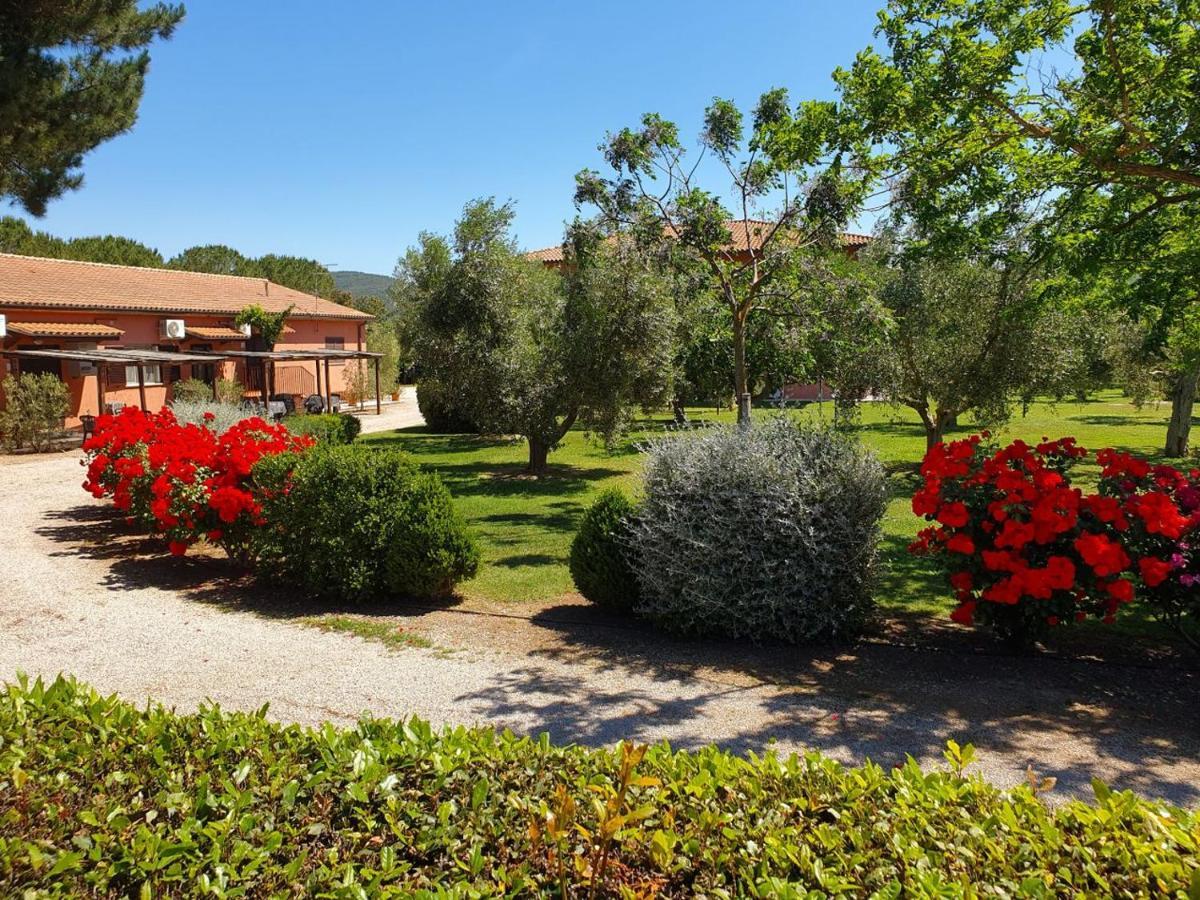 Agriturismo Fusini Magliano in Toscana Exterior photo