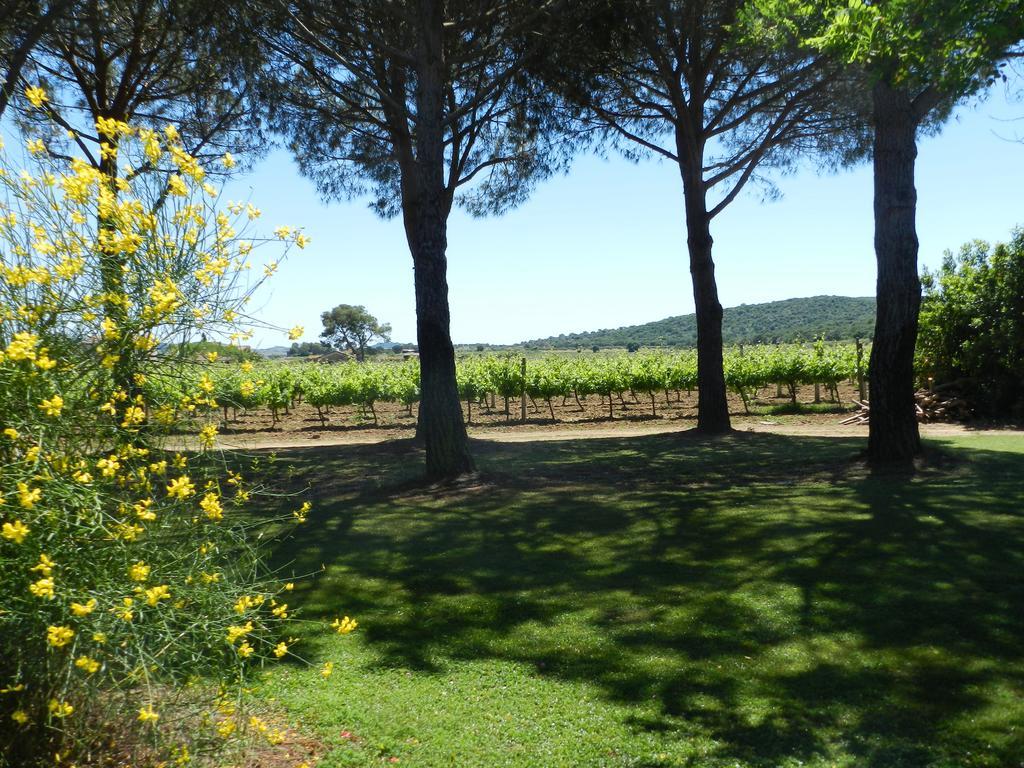 Agriturismo Fusini Magliano in Toscana Exterior photo