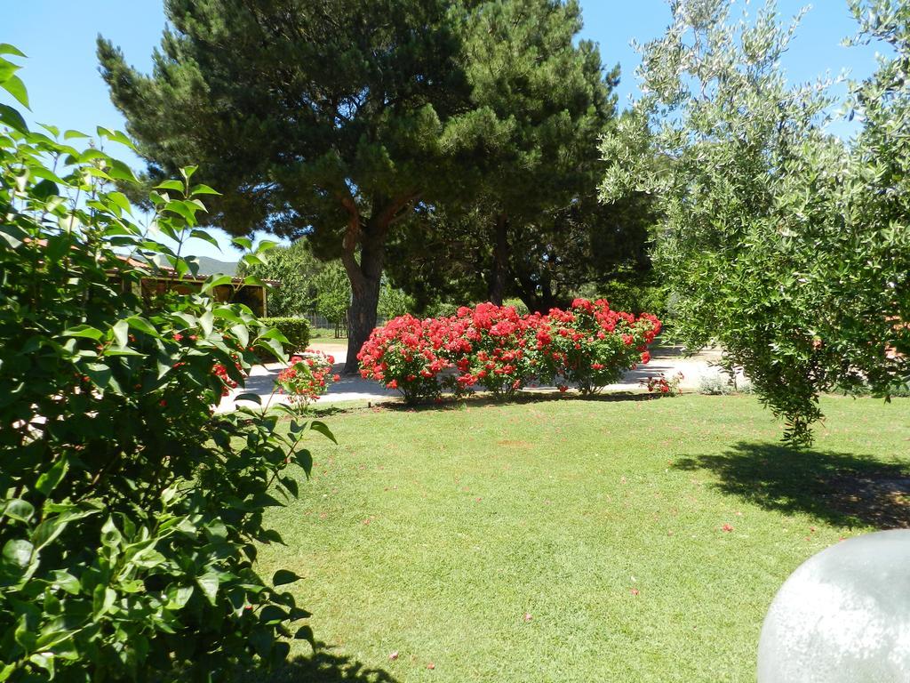Agriturismo Fusini Magliano in Toscana Exterior photo