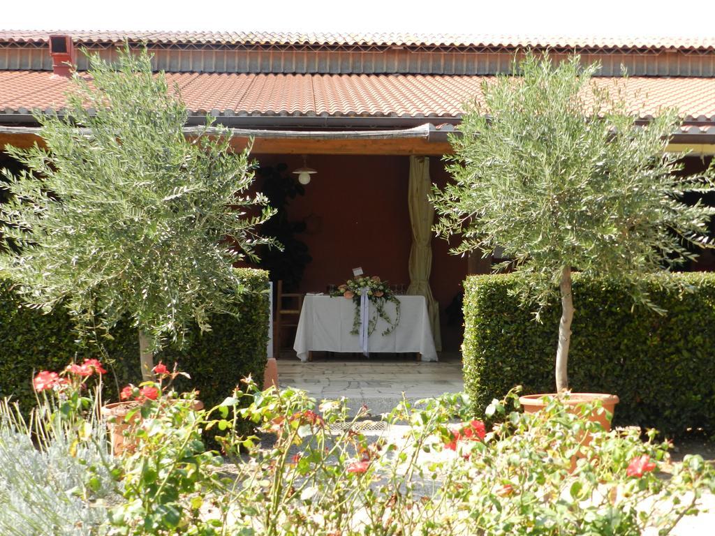 Agriturismo Fusini Magliano in Toscana Exterior photo
